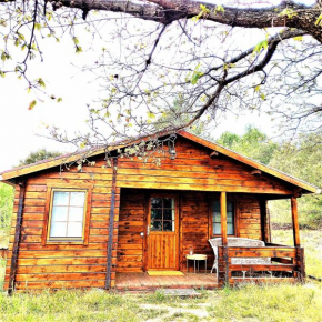 Mas Olivella Cabaña Grande (Big Cabin)